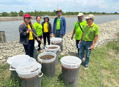 โครงการส่งเสริมและพัฒนาเกษตรปลอดภัยในสถาบันเกษตรกร ... พารามิเตอร์รูปภาพ 5